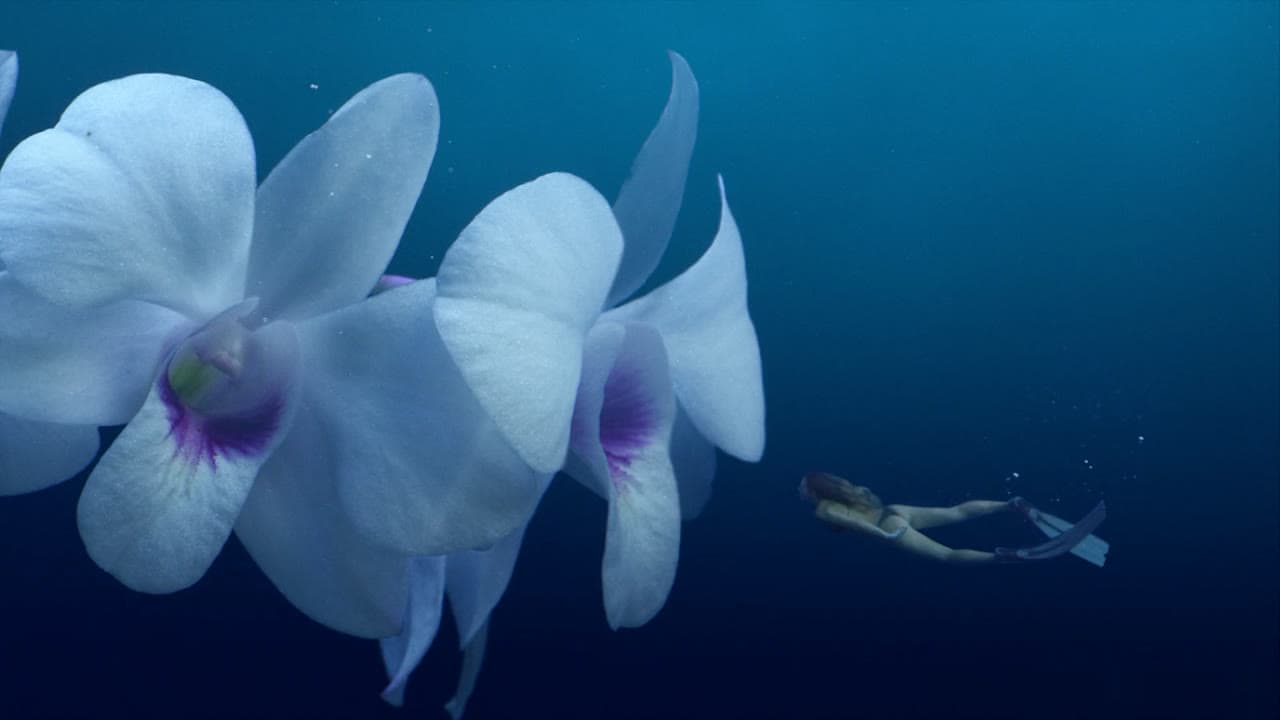 Cayman Islands “Flower Diver” brand loop