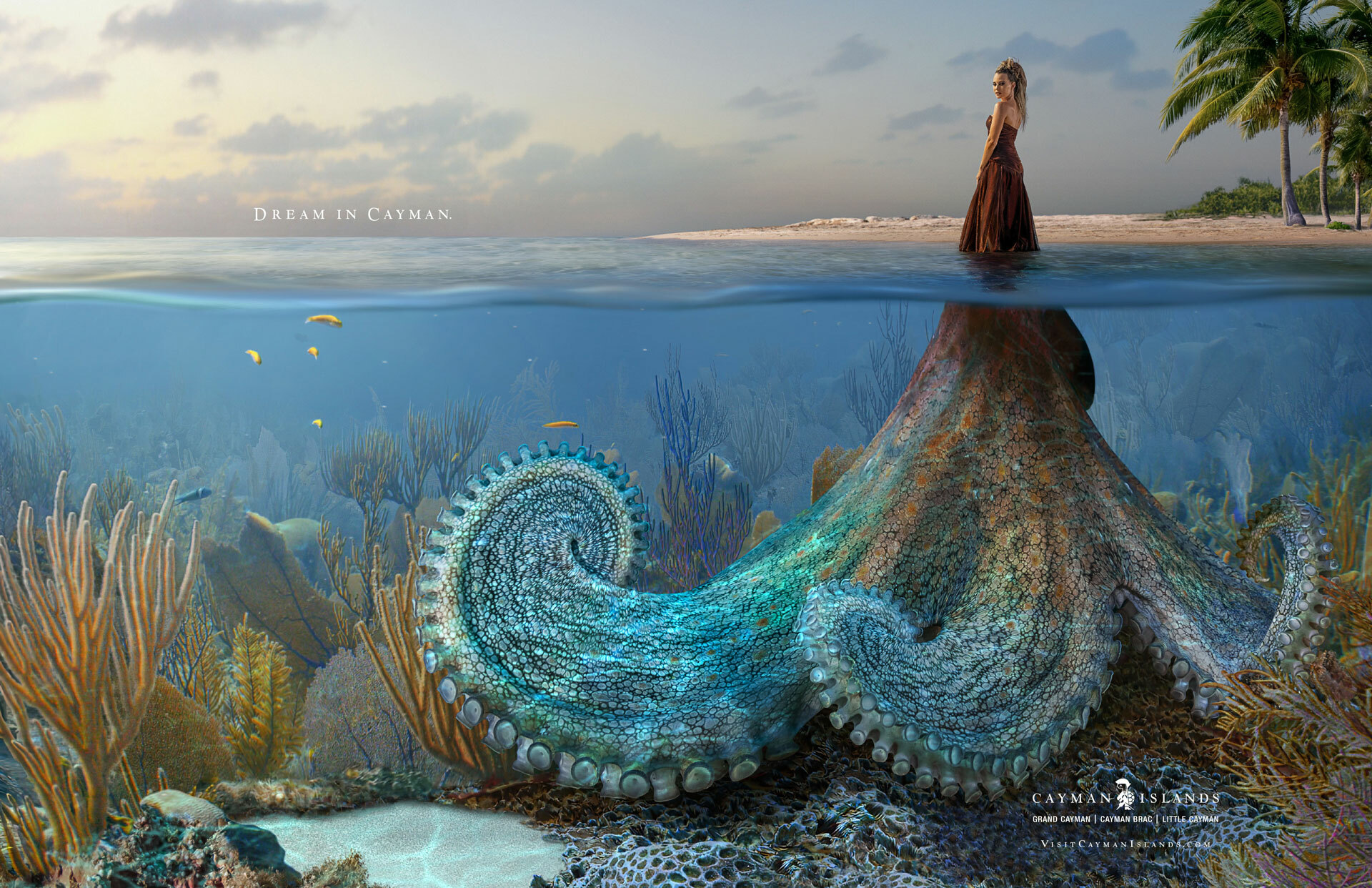 Cayman Octopus Print